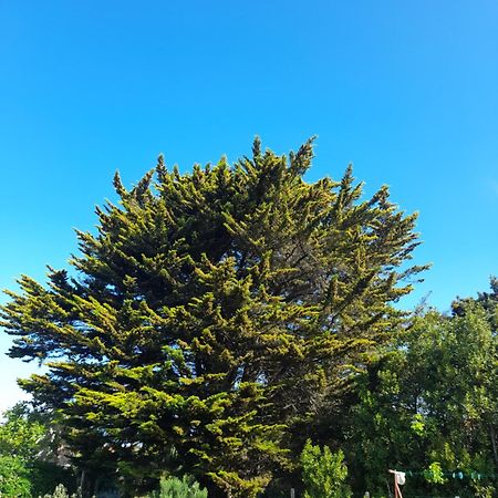 Apartmán Le Stud' A Saint Pierre D'Oleron ! Pokoj fotografie